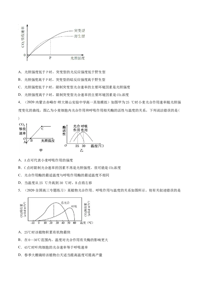 解密07光合作用和呼吸作用的联系及应用（分层训练）（原卷版）_新高考复习资料_2021年新高考资料_高频考点解密2021年高考生物二轮复习讲义+分层训练4.7更新