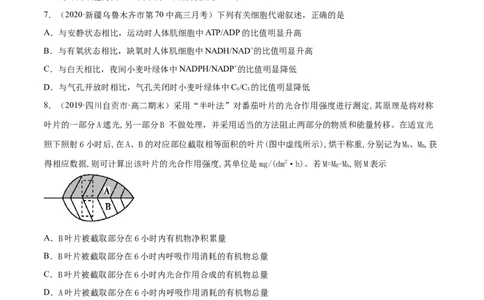 解密07光合作用和呼吸作用的联系及应用（分层训练）（原卷版）_新高考复习资料_2021年新高考资料_高频考点解密2021年高考生物二轮复习讲义+分层训练4.7更新