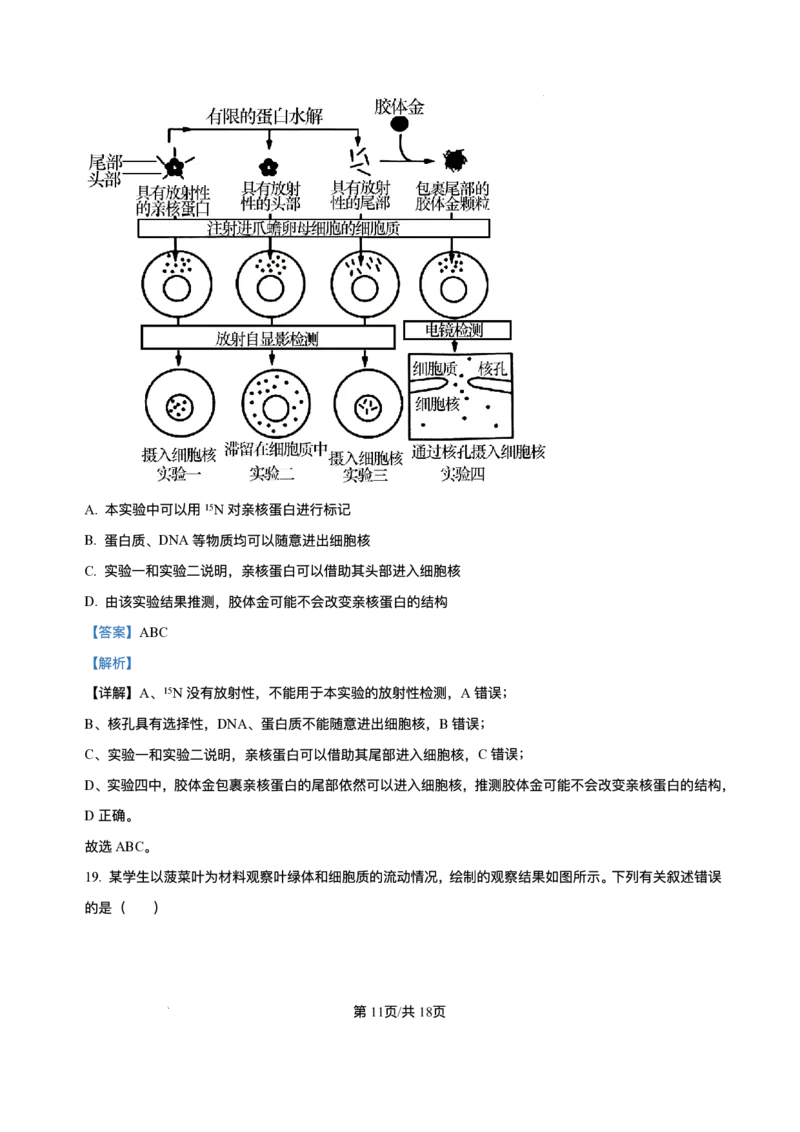 辽宁省县域重点高中2025-2026学年高一上学期期中考试生物试卷含答案_2025年11月高一试卷_251112辽宁省县域重点高中2025-2026学年高一上学期期中考试