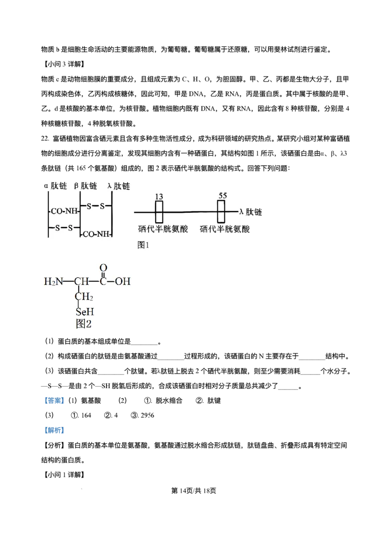 辽宁省县域重点高中2025-2026学年高一上学期期中考试生物试卷含答案_2025年11月高一试卷_251112辽宁省县域重点高中2025-2026学年高一上学期期中考试