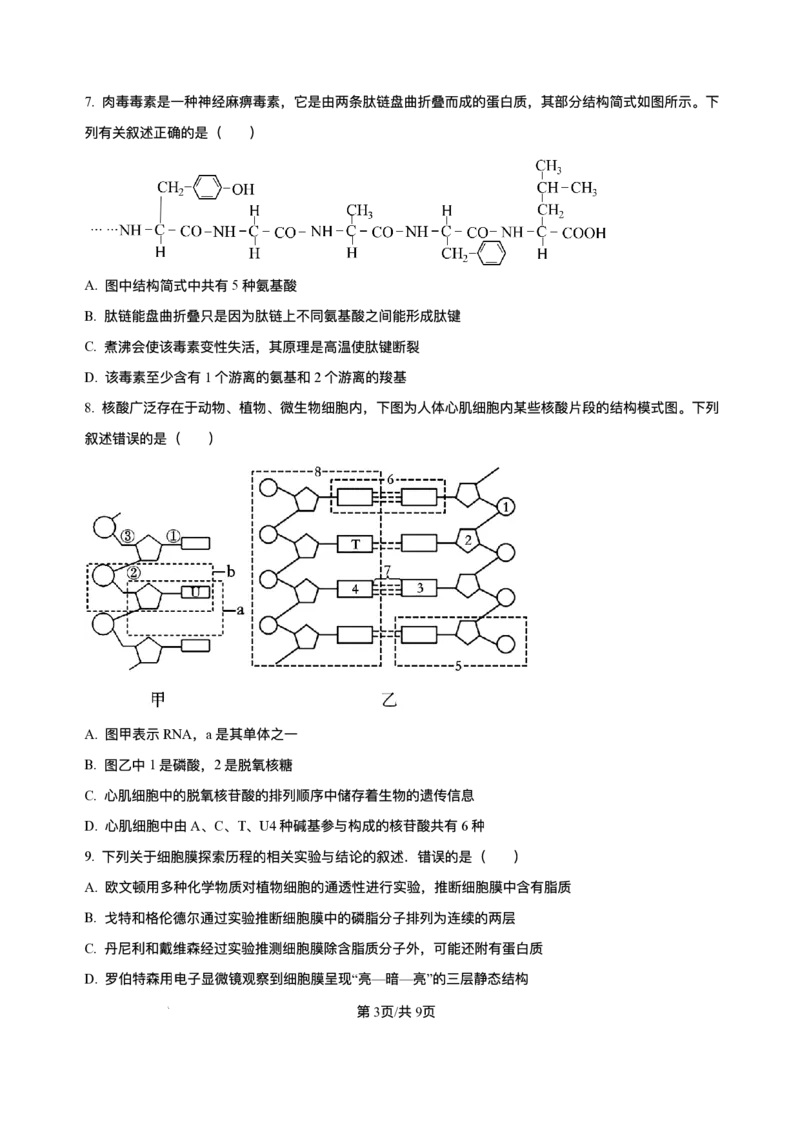 辽宁省县域重点高中2025-2026学年高一上学期期中考试生物试卷含答案_2025年11月高一试卷_251112辽宁省县域重点高中2025-2026学年高一上学期期中考试