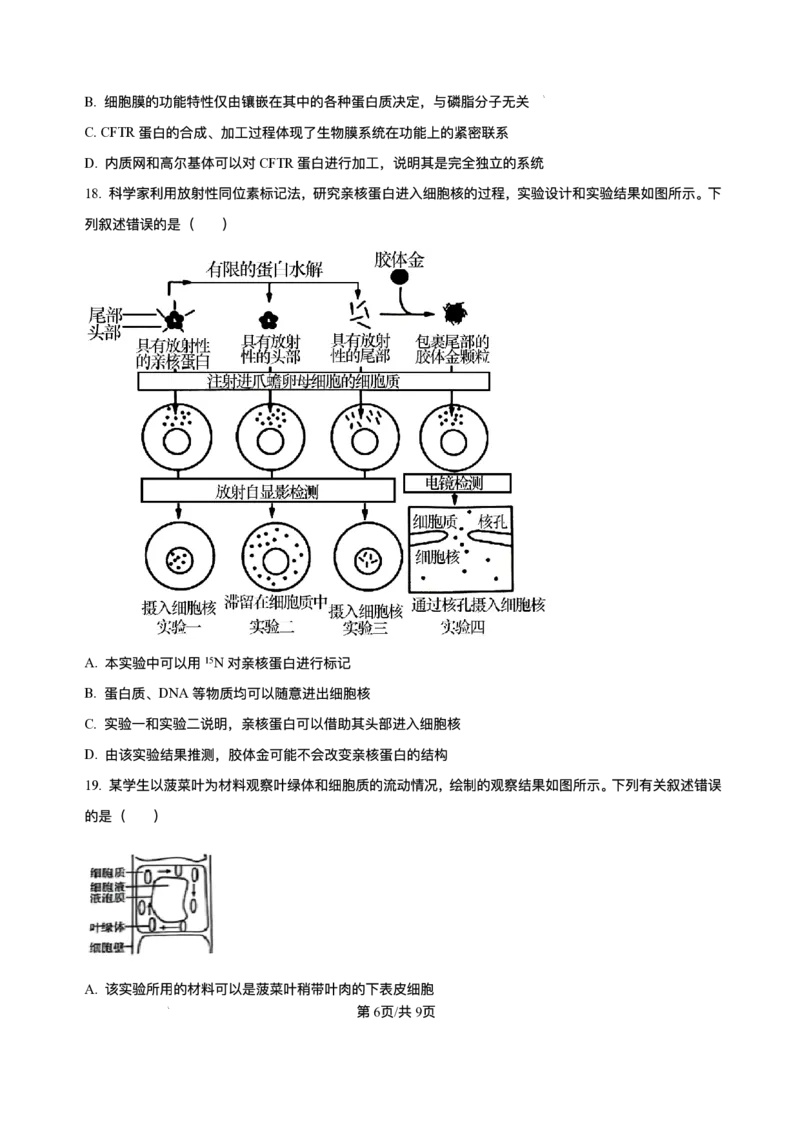 辽宁省县域重点高中2025-2026学年高一上学期期中考试生物试卷含答案_2025年11月高一试卷_251112辽宁省县域重点高中2025-2026学年高一上学期期中考试