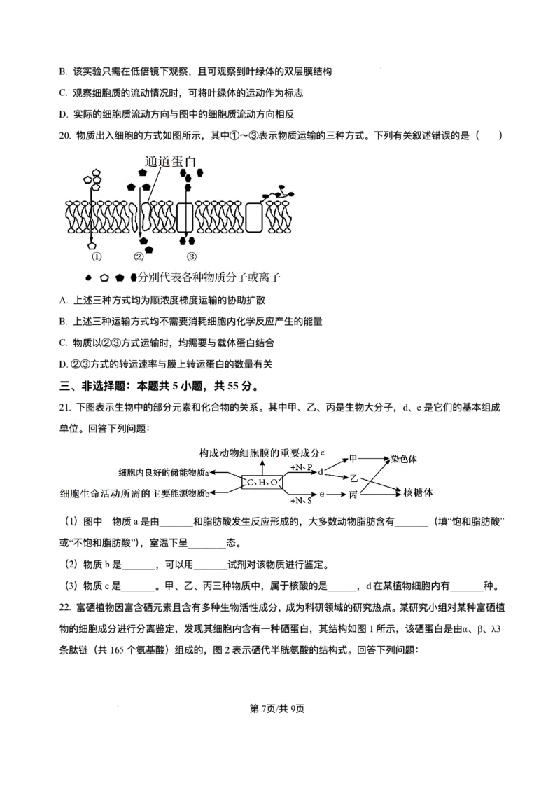 辽宁省县域重点高中2025-2026学年高一上学期期中考试生物试卷含答案_2025年11月高一试卷_251112辽宁省县域重点高中2025-2026学年高一上学期期中考试