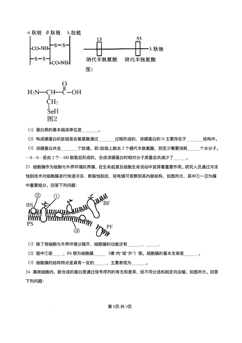 辽宁省县域重点高中2025-2026学年高一上学期期中考试生物试卷含答案_2025年11月高一试卷_251112辽宁省县域重点高中2025-2026学年高一上学期期中考试