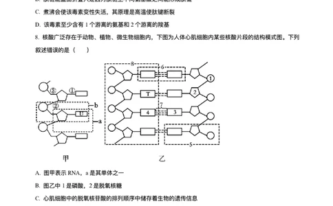 辽宁省县域重点高中2025-2026学年高一上学期期中考试生物试卷含答案_2025年11月高一试卷_251112辽宁省县域重点高中2025-2026学年高一上学期期中考试