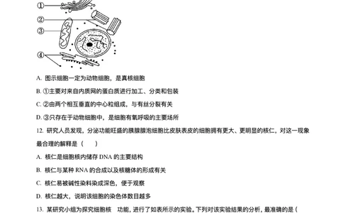 辽宁省县域重点高中2025-2026学年高一上学期期中考试生物试卷含答案_2025年11月高一试卷_251112辽宁省县域重点高中2025-2026学年高一上学期期中考试