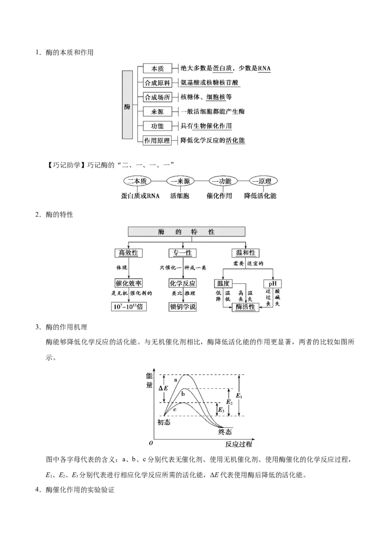 解密04酶和ATP（讲义）-高频考点解密2021年高考生物二轮复习讲义+分层训练_新高考复习资料_2021年新高考资料_高频考点解密2021年高考生物二轮复习讲义+分层训练4.7更新