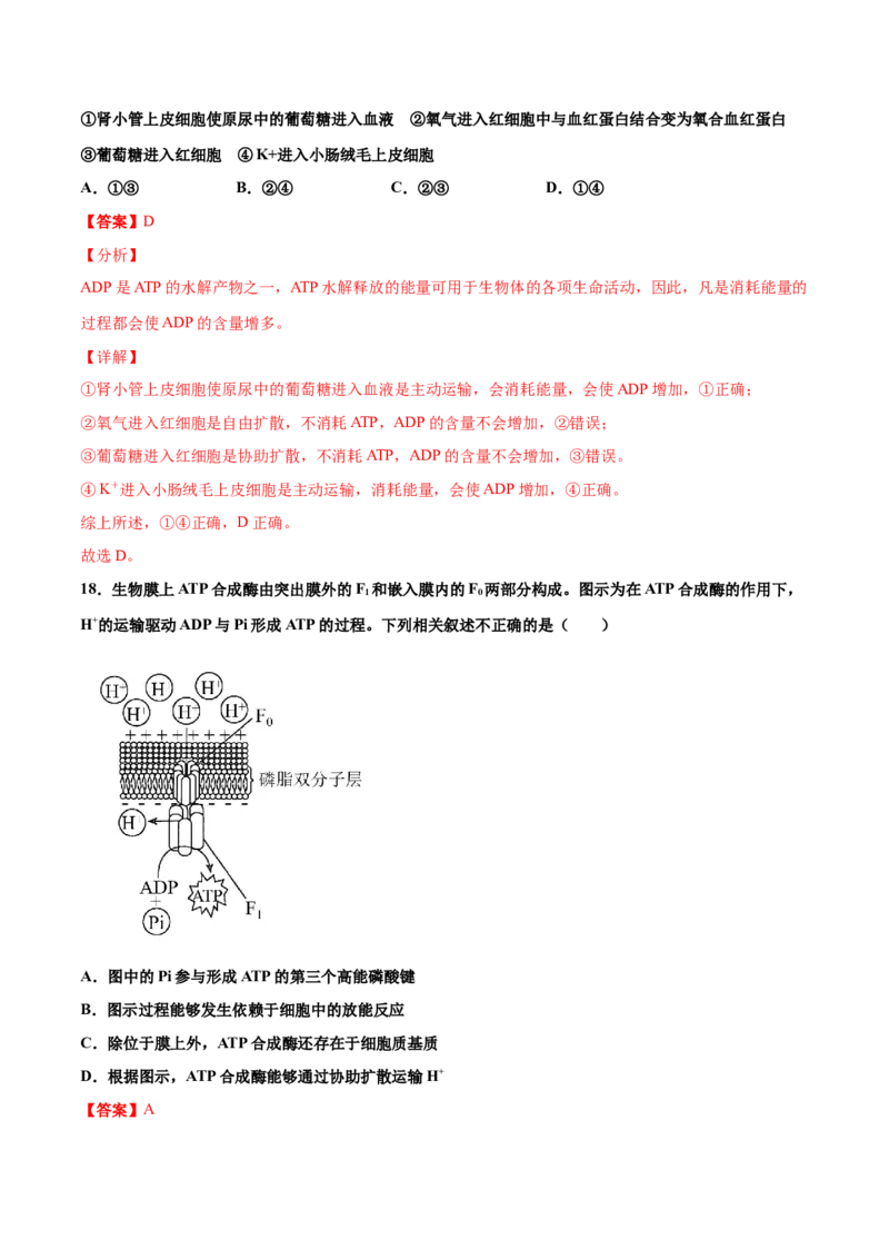 解密04酶和ATP（讲义）-高频考点解密2021年高考生物二轮复习讲义+分层训练_新高考复习资料_2021年新高考资料_高频考点解密2021年高考生物二轮复习讲义+分层训练4.7更新
