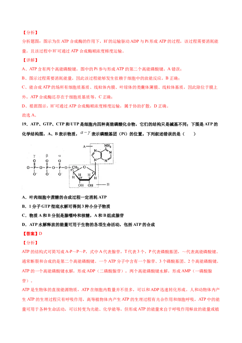 解密04酶和ATP（讲义）-高频考点解密2021年高考生物二轮复习讲义+分层训练_新高考复习资料_2021年新高考资料_高频考点解密2021年高考生物二轮复习讲义+分层训练4.7更新
