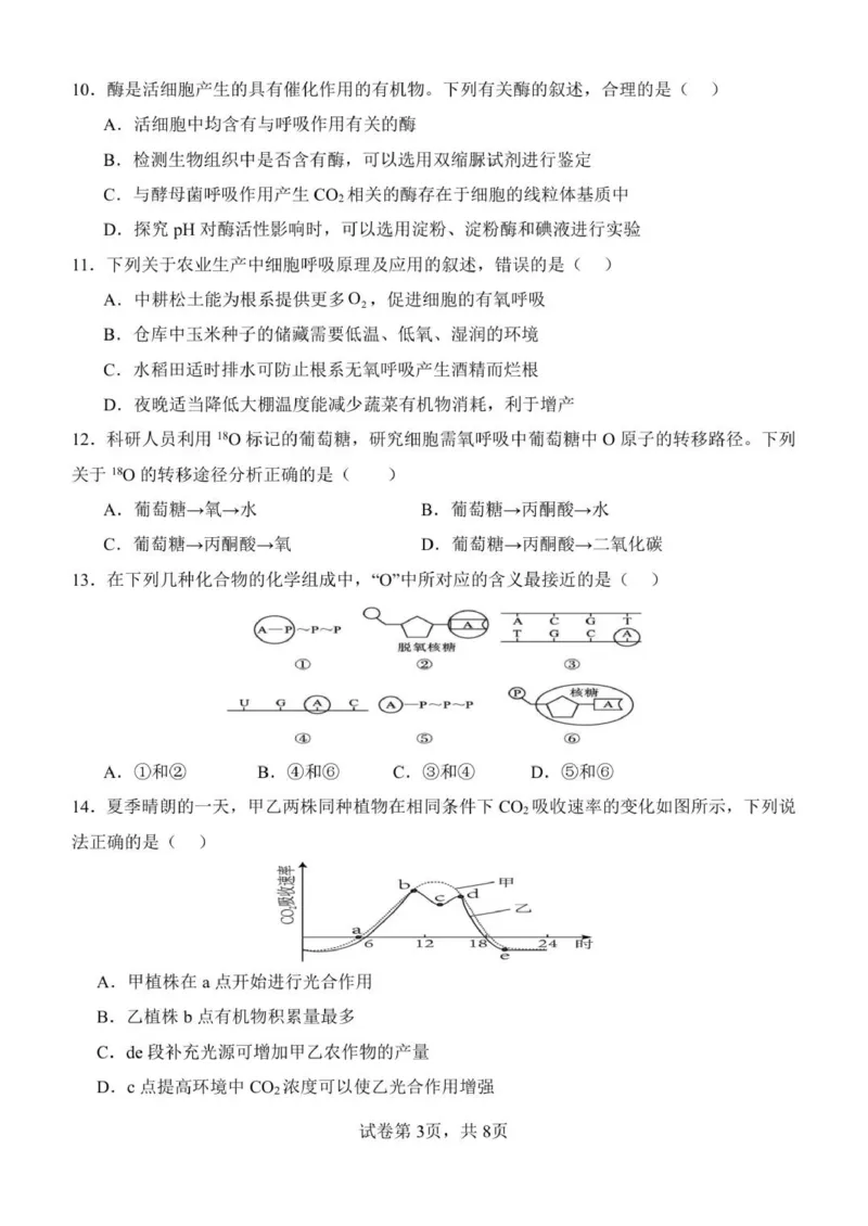 黑龙江省齐齐哈尔市第八中学校2025-2026学年高一上学期12月月考生物试题_2026年01月高一试卷_260101黑龙江省齐齐哈尔市第八中学校2025-2026学年高一上学期12月月考