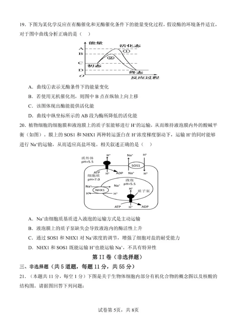 黑龙江省齐齐哈尔市第八中学校2025-2026学年高一上学期12月月考生物试题_2026年01月高一试卷_260101黑龙江省齐齐哈尔市第八中学校2025-2026学年高一上学期12月月考
