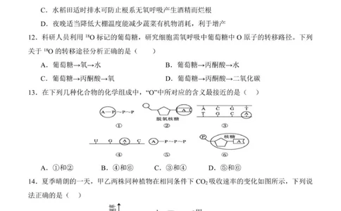 黑龙江省齐齐哈尔市第八中学校2025-2026学年高一上学期12月月考生物试题_2026年01月高一试卷_260101黑龙江省齐齐哈尔市第八中学校2025-2026学年高一上学期12月月考