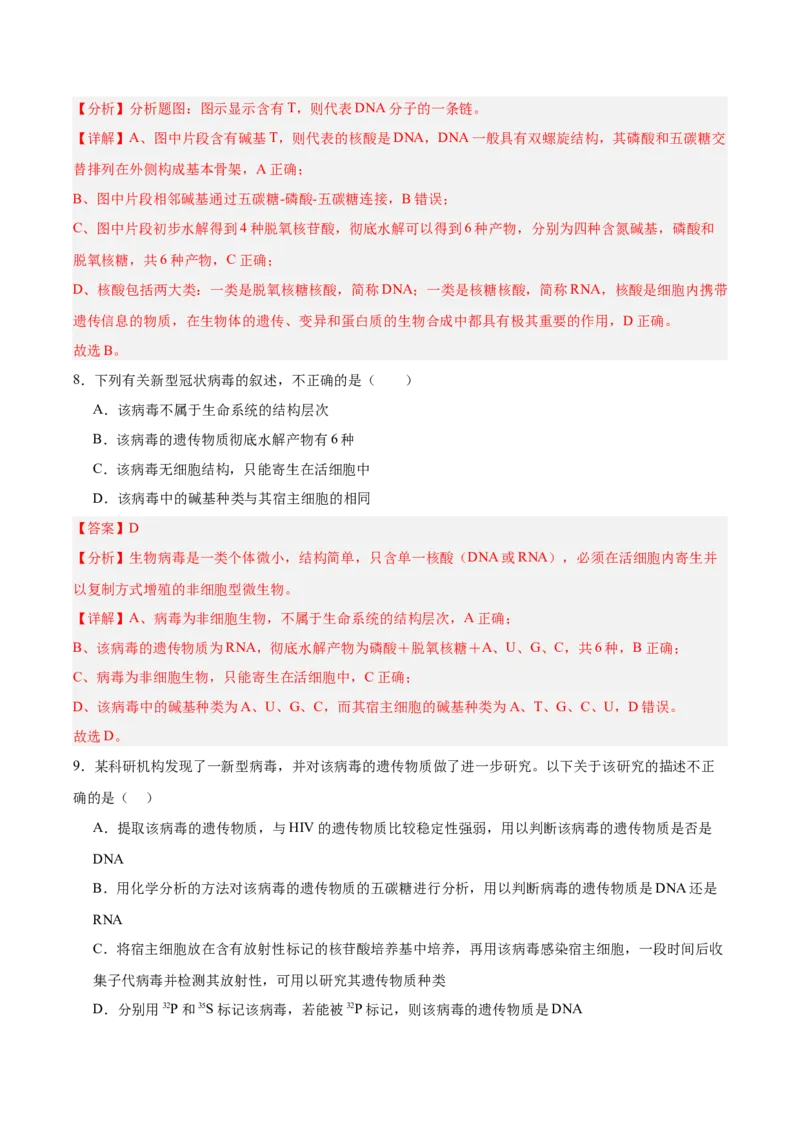考点通关卷04蛋白质和核酸（解析版）_2025年新高考资料_一轮复习_2025年高考生物一轮复习考点通关卷（新高考通用）
