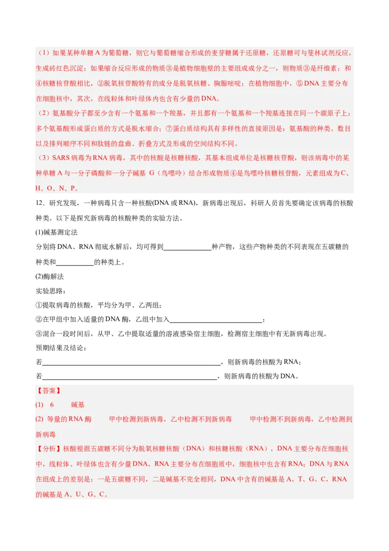 考点通关卷04蛋白质和核酸（解析版）_2025年新高考资料_一轮复习_2025年高考生物一轮复习考点通关卷（新高考通用）
