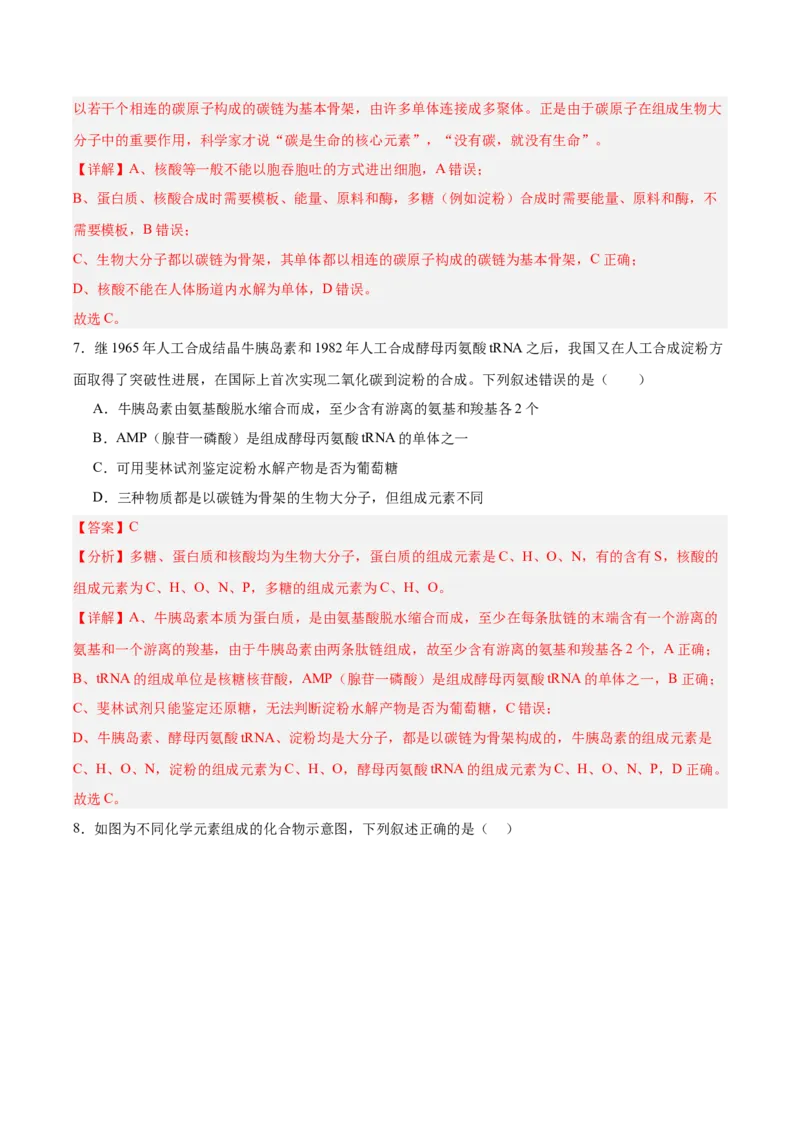 考点通关卷04蛋白质和核酸（解析版）_2025年新高考资料_一轮复习_2025年高考生物一轮复习考点通关卷（新高考通用）