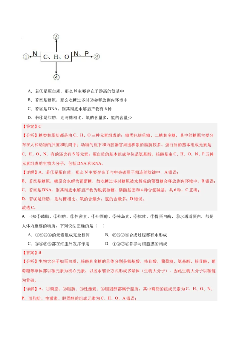 考点通关卷04蛋白质和核酸（解析版）_2025年新高考资料_一轮复习_2025年高考生物一轮复习考点通关卷（新高考通用）