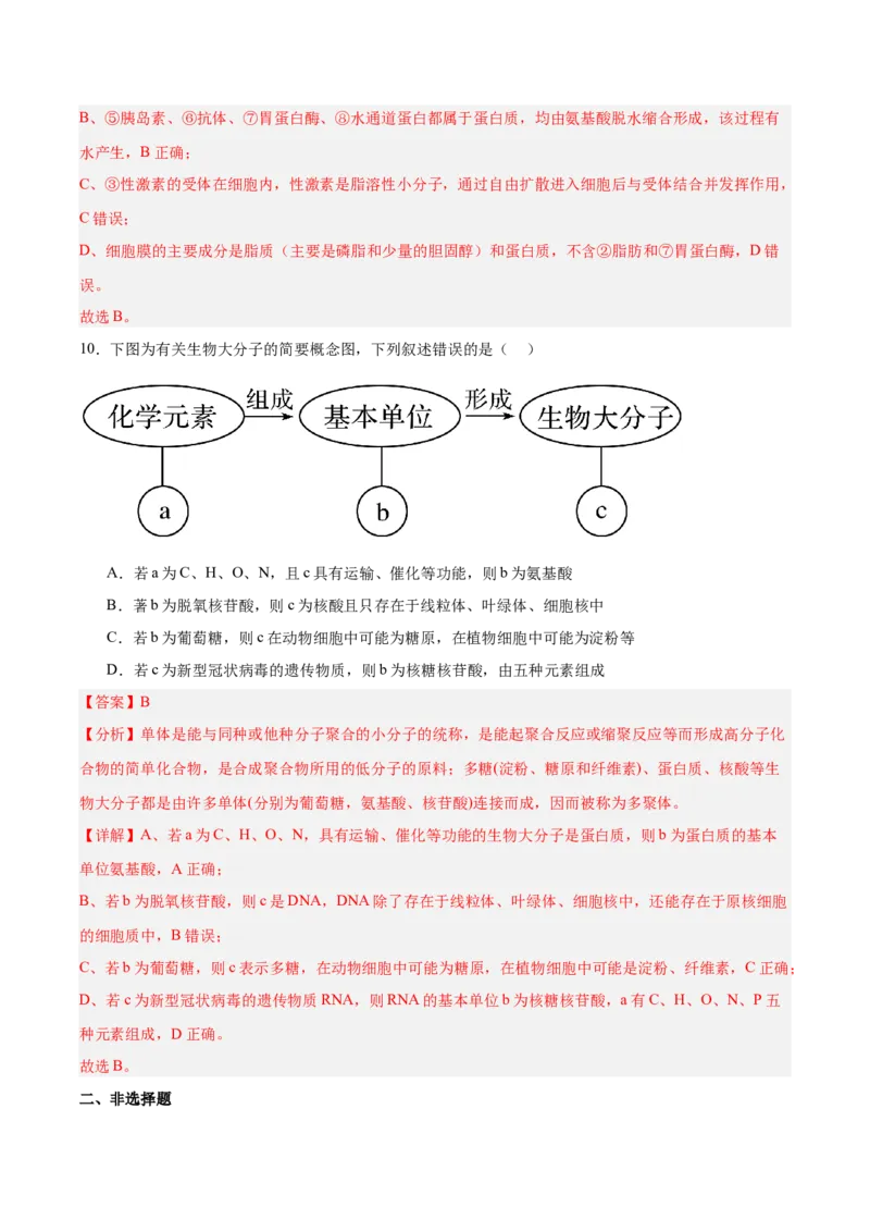 考点通关卷04蛋白质和核酸（解析版）_2025年新高考资料_一轮复习_2025年高考生物一轮复习考点通关卷（新高考通用）