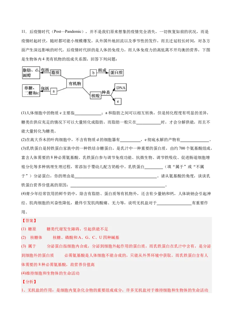 考点通关卷04蛋白质和核酸（解析版）_2025年新高考资料_一轮复习_2025年高考生物一轮复习考点通关卷（新高考通用）