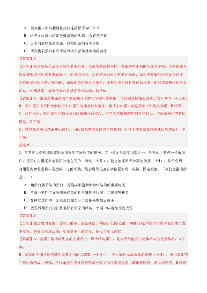 考点通关卷04蛋白质和核酸（解析版）_2025年新高考资料_一轮复习_2025年高考生物一轮复习考点通关卷（新高考通用）