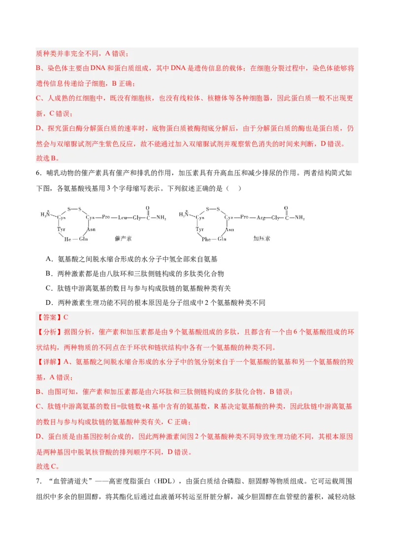 考点通关卷04蛋白质和核酸（解析版）_2025年新高考资料_一轮复习_2025年高考生物一轮复习考点通关卷（新高考通用）