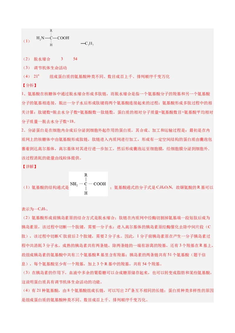 考点通关卷04蛋白质和核酸（解析版）_2025年新高考资料_一轮复习_2025年高考生物一轮复习考点通关卷（新高考通用）