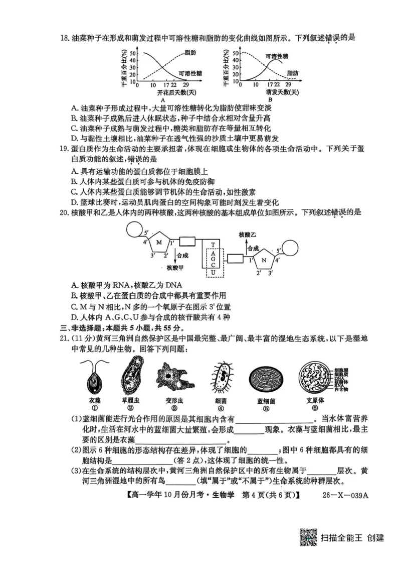 黑龙江省龙东联盟2025-2026学年高一上学期10月月考生物试题含答案_2025年10月高一试卷_251014黑龙江省龙东联盟2025-2026学年高一上学期10月月考