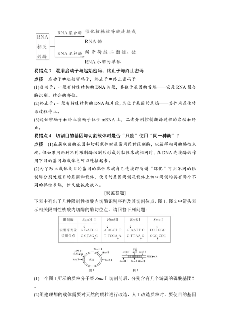 选修三第31讲_新高考复习资料_2022年新高考复习资料_2022年一轮复习最新版_1.2022年高考生物一轮复习全国通用版_2022年新高考生物一轮复习讲义（最新版）_赠送word习题库_选修3