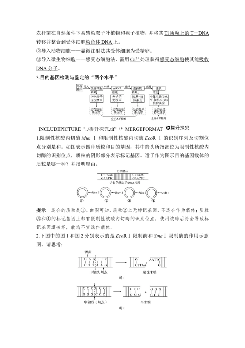 选修三第31讲_新高考复习资料_2022年新高考复习资料_2022年一轮复习最新版_1.2022年高考生物一轮复习全国通用版_2022年新高考生物一轮复习讲义（最新版）_赠送word习题库_选修3