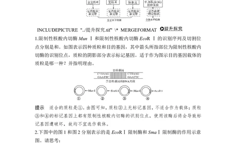 选修三第31讲_新高考复习资料_2022年新高考复习资料_2022年一轮复习最新版_1.2022年高考生物一轮复习全国通用版_2022年新高考生物一轮复习讲义（最新版）_赠送word习题库_选修3