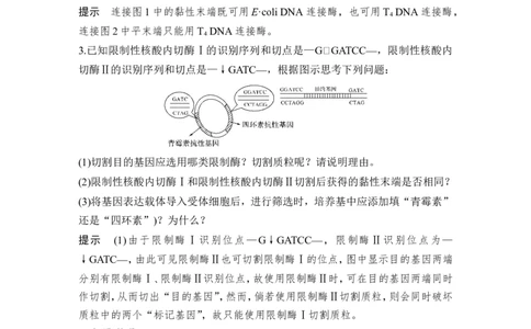 选修三第31讲_新高考复习资料_2022年新高考复习资料_2022年一轮复习最新版_1.2022年高考生物一轮复习全国通用版_2022年新高考生物一轮复习讲义（最新版）_赠送word习题库_选修3