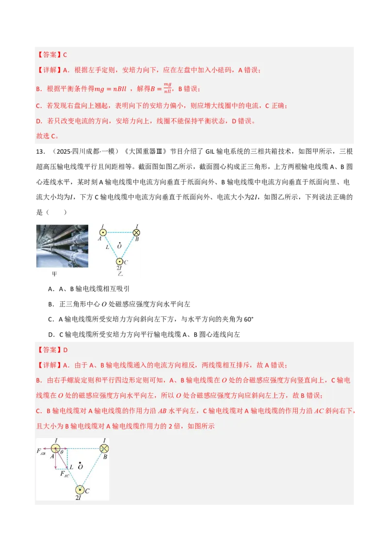 第55讲磁场及其对电流的作用(解析版)_2026高考物理_222026版物理《高考一轮复习举一反三》全国版_第55讲磁场及其对电流的作用