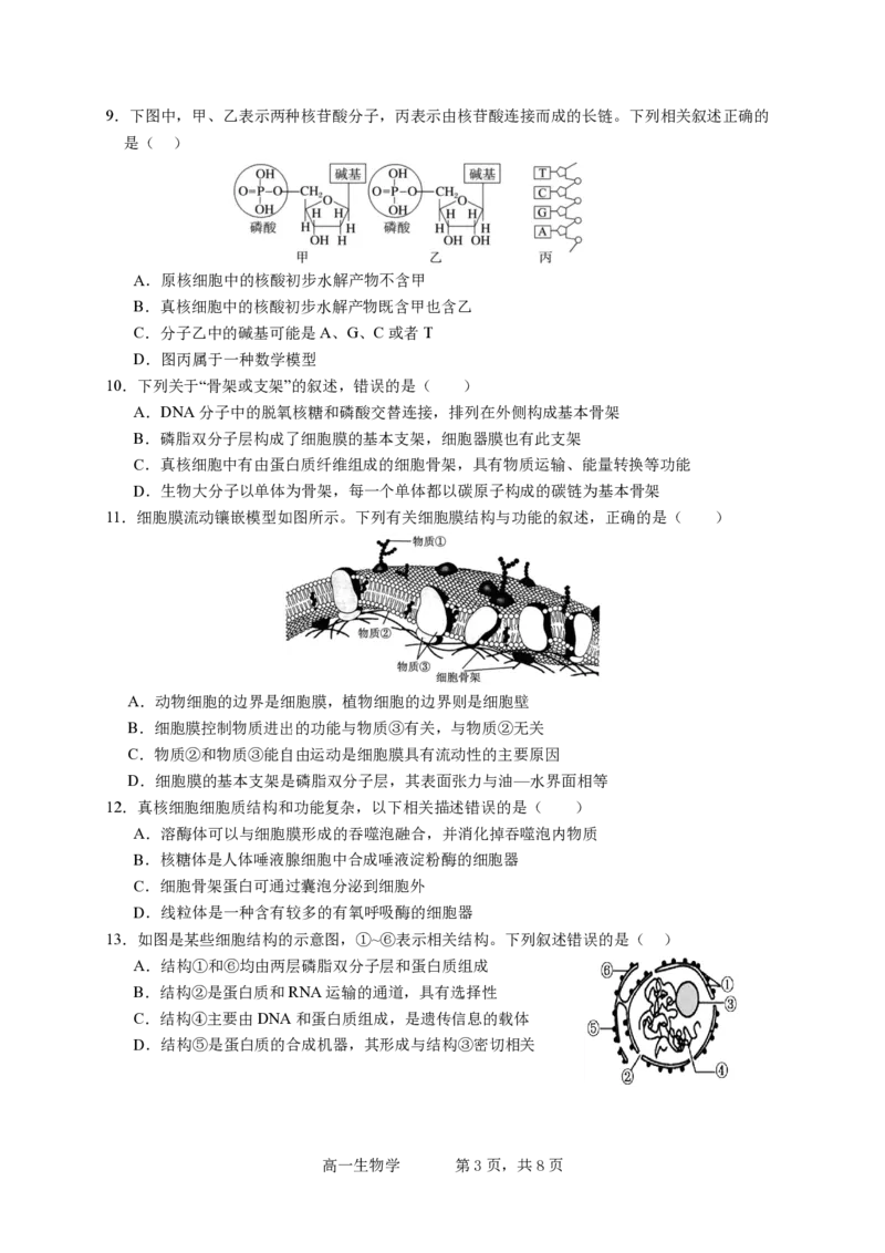 试卷1校a版_中段考_2025高一上（考到ATP）(2)_2025年12月高一试卷_251210广东省实验中学2025-2026学年高一上学期期中考试（全）