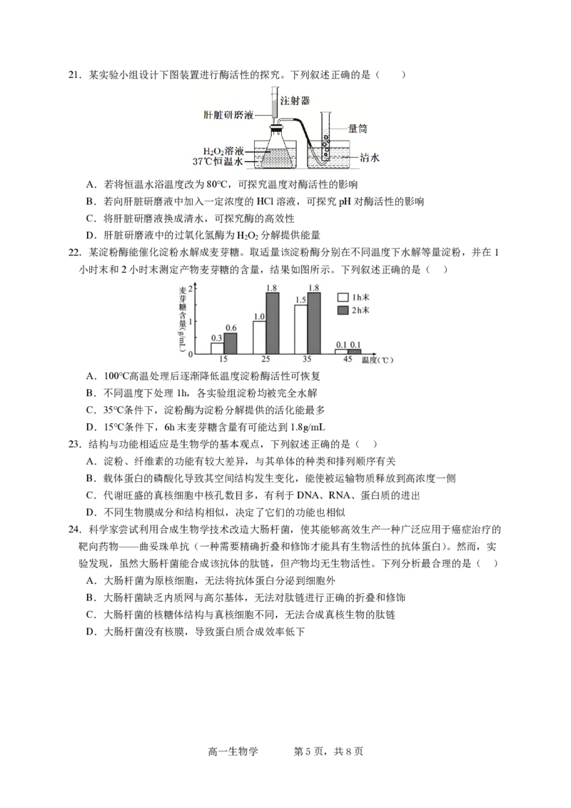 试卷1校a版_中段考_2025高一上（考到ATP）(2)_2025年12月高一试卷_251210广东省实验中学2025-2026学年高一上学期期中考试（全）