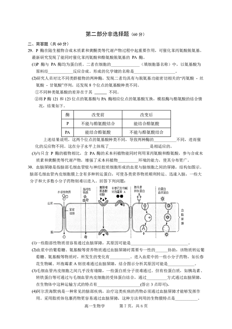 试卷1校a版_中段考_2025高一上（考到ATP）(2)_2025年12月高一试卷_251210广东省实验中学2025-2026学年高一上学期期中考试（全）