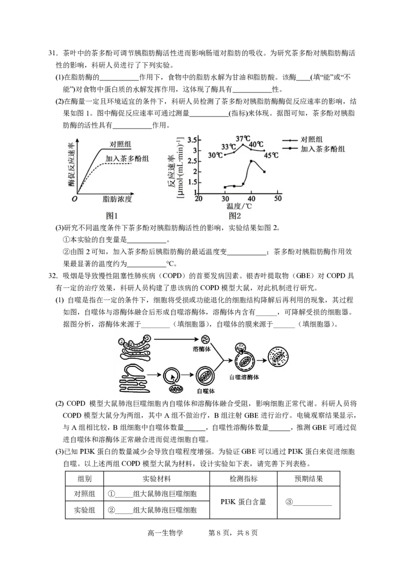 试卷1校a版_中段考_2025高一上（考到ATP）(2)_2025年12月高一试卷_251210广东省实验中学2025-2026学年高一上学期期中考试（全）