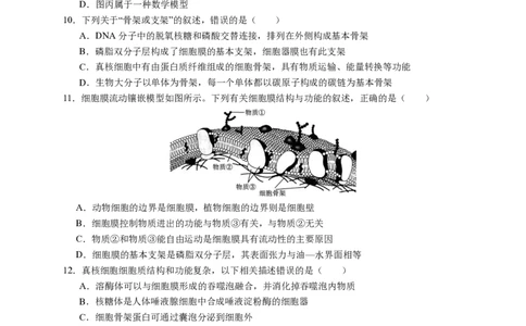 试卷1校a版_中段考_2025高一上（考到ATP）(2)_2025年12月高一试卷_251210广东省实验中学2025-2026学年高一上学期期中考试（全）