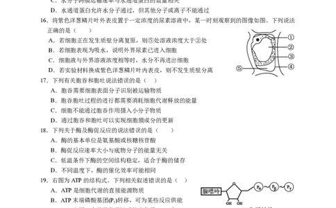 试卷1校a版_中段考_2025高一上（考到ATP）(2)_2025年12月高一试卷_251210广东省实验中学2025-2026学年高一上学期期中考试（全）