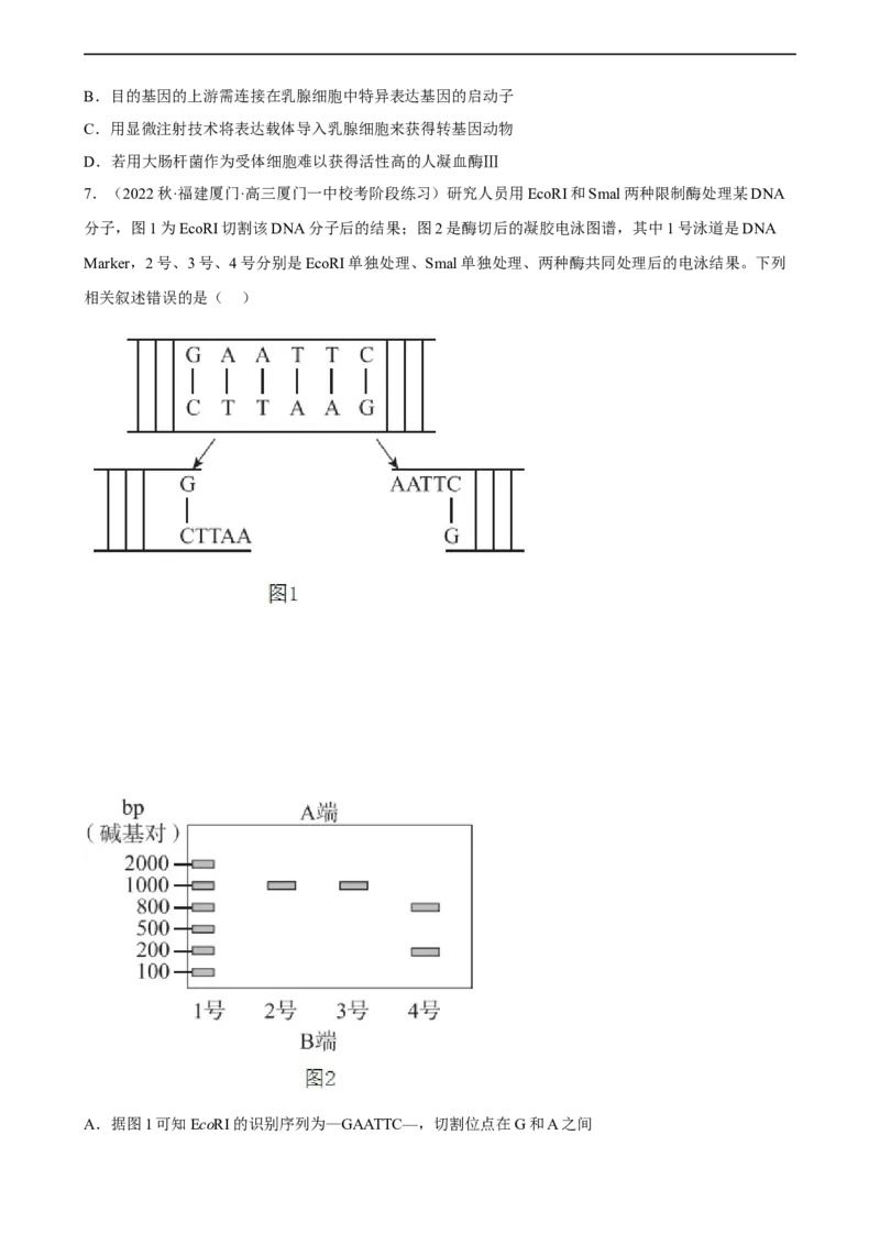 解密19基因工程（分层训练)（原版卷）_通用版（老高考）复习资料_2023年复习资料_二轮复习_高频考点解密2023年高考生物二轮复习讲义+分层训练（全国通用）