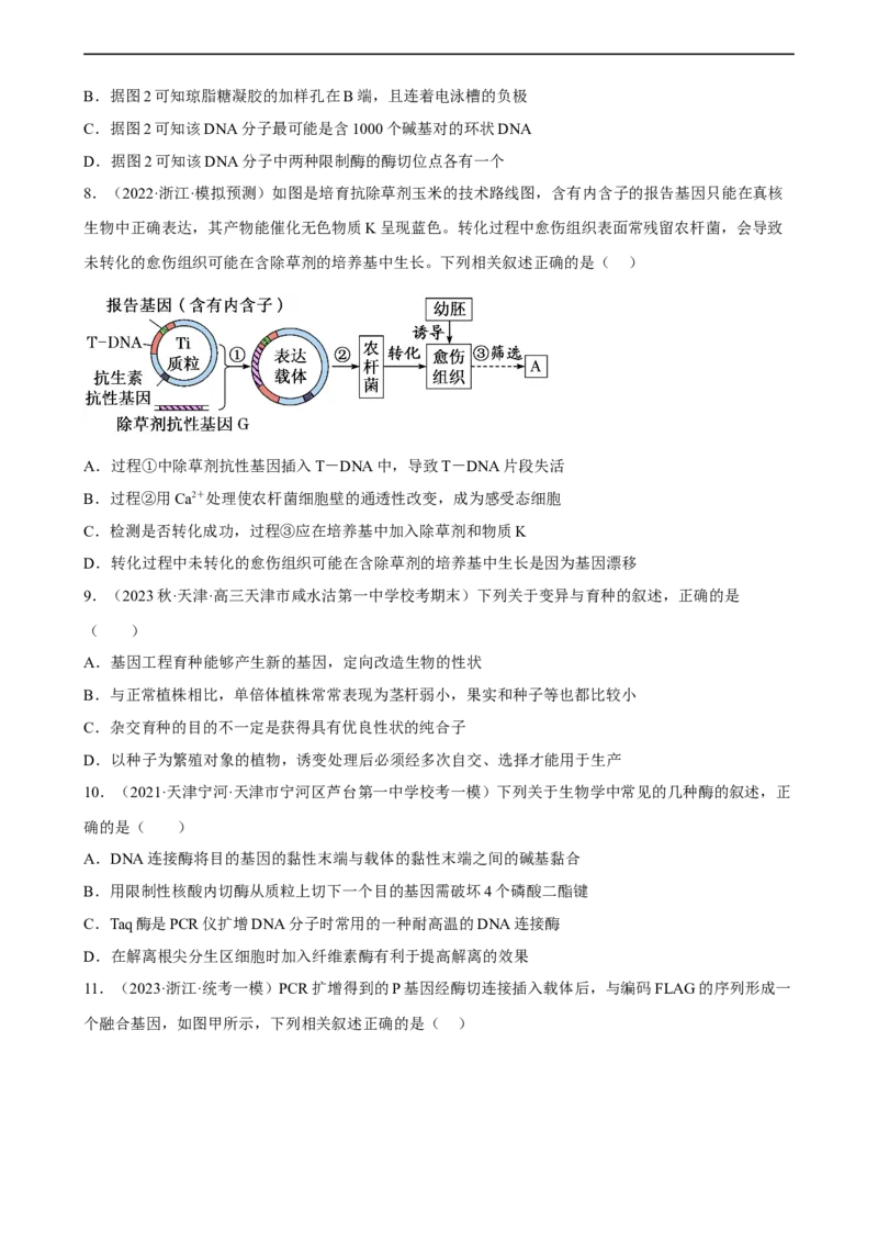 解密19基因工程（分层训练)（原版卷）_通用版（老高考）复习资料_2023年复习资料_二轮复习_高频考点解密2023年高考生物二轮复习讲义+分层训练（全国通用）
