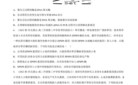 解密19基因工程（分层训练)（原版卷）_通用版（老高考）复习资料_2023年复习资料_二轮复习_高频考点解密2023年高考生物二轮复习讲义+分层训练（全国通用）