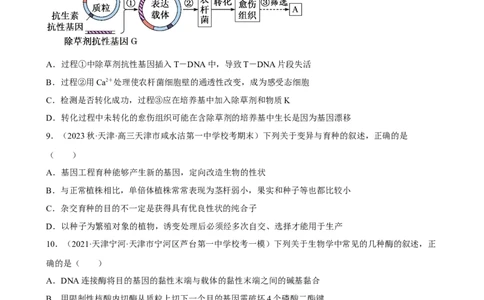 解密19基因工程（分层训练)（原版卷）_通用版（老高考）复习资料_2023年复习资料_二轮复习_高频考点解密2023年高考生物二轮复习讲义+分层训练（全国通用）