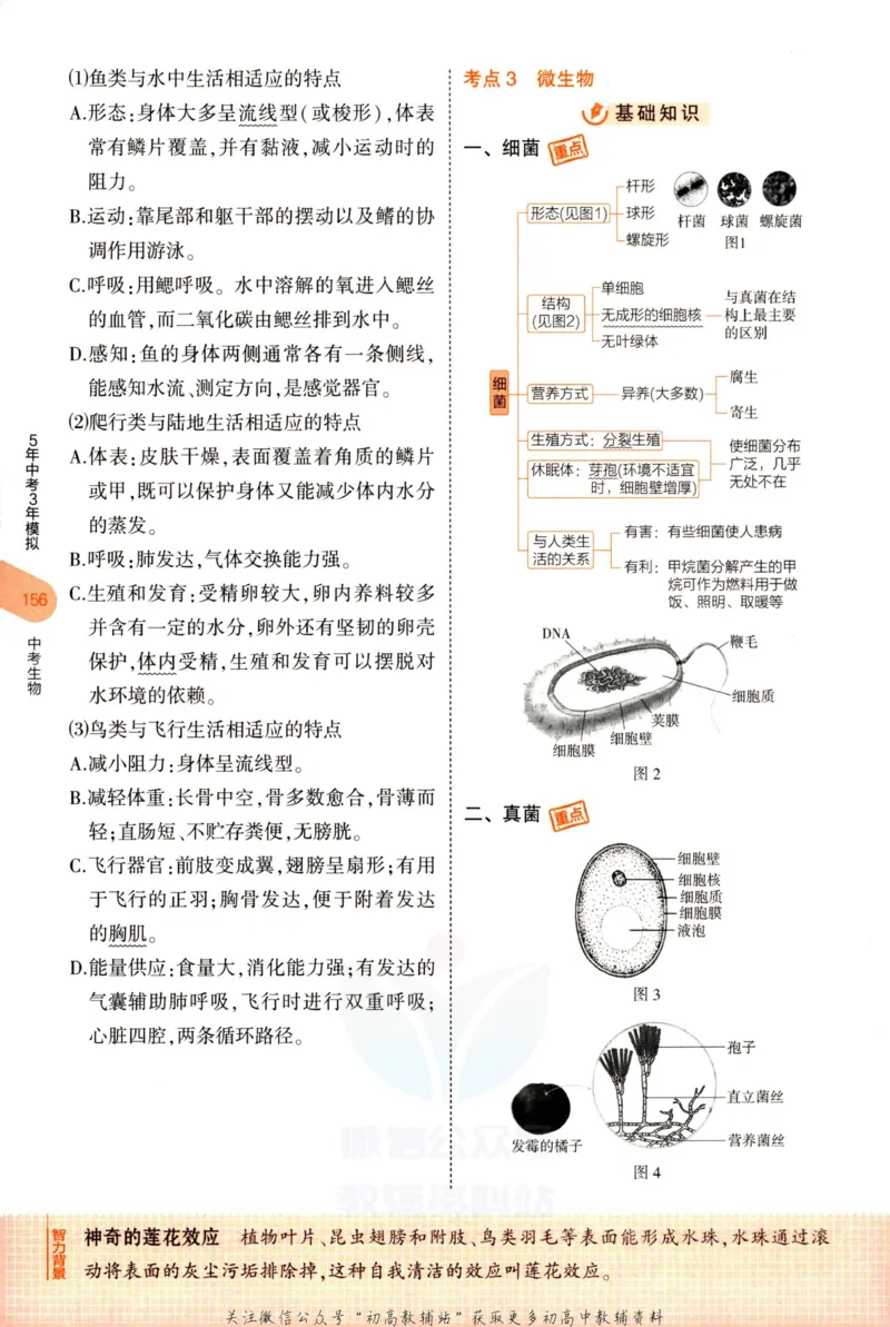 2023版《5年中考3年模拟》中考生物知识清单_53中考总复习_2023版