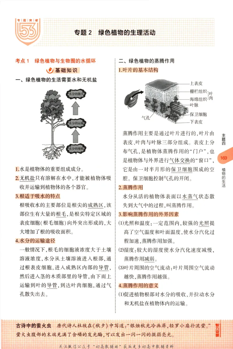 2023版《5年中考3年模拟》中考生物知识清单_53中考总复习_2023版