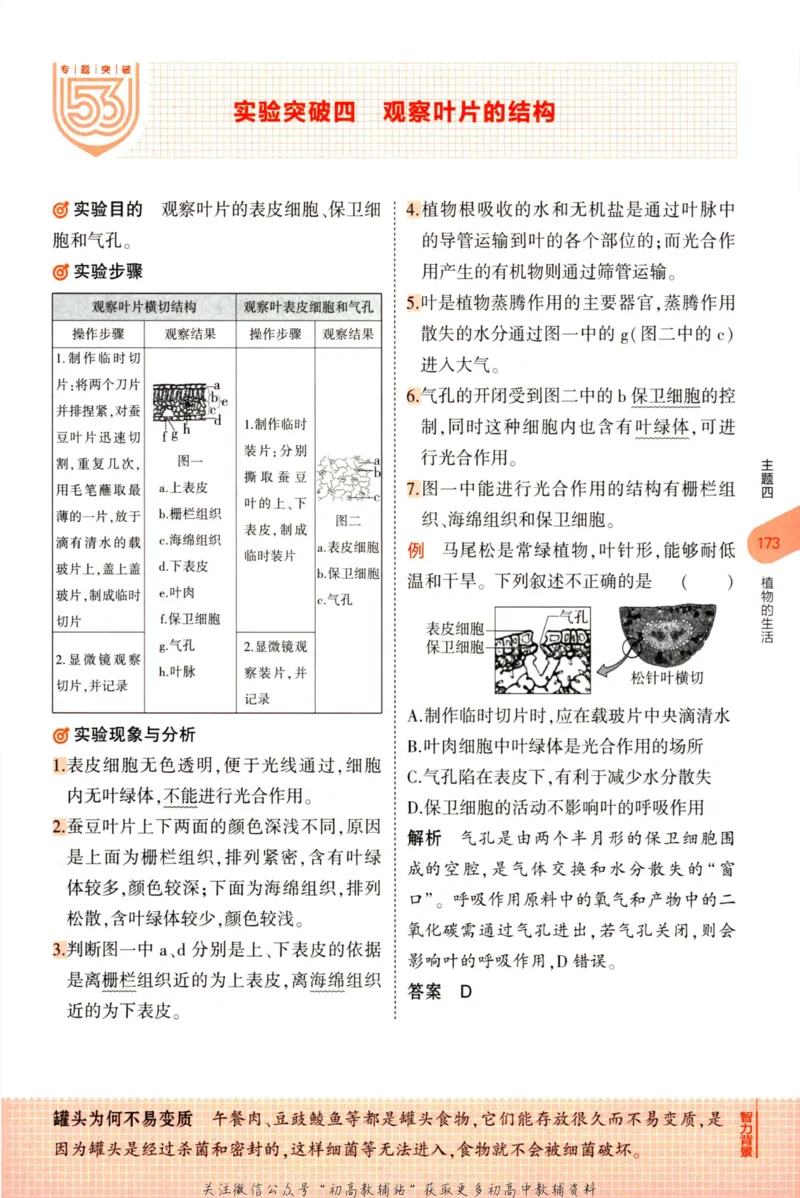 2023版《5年中考3年模拟》中考生物知识清单_53中考总复习_2023版