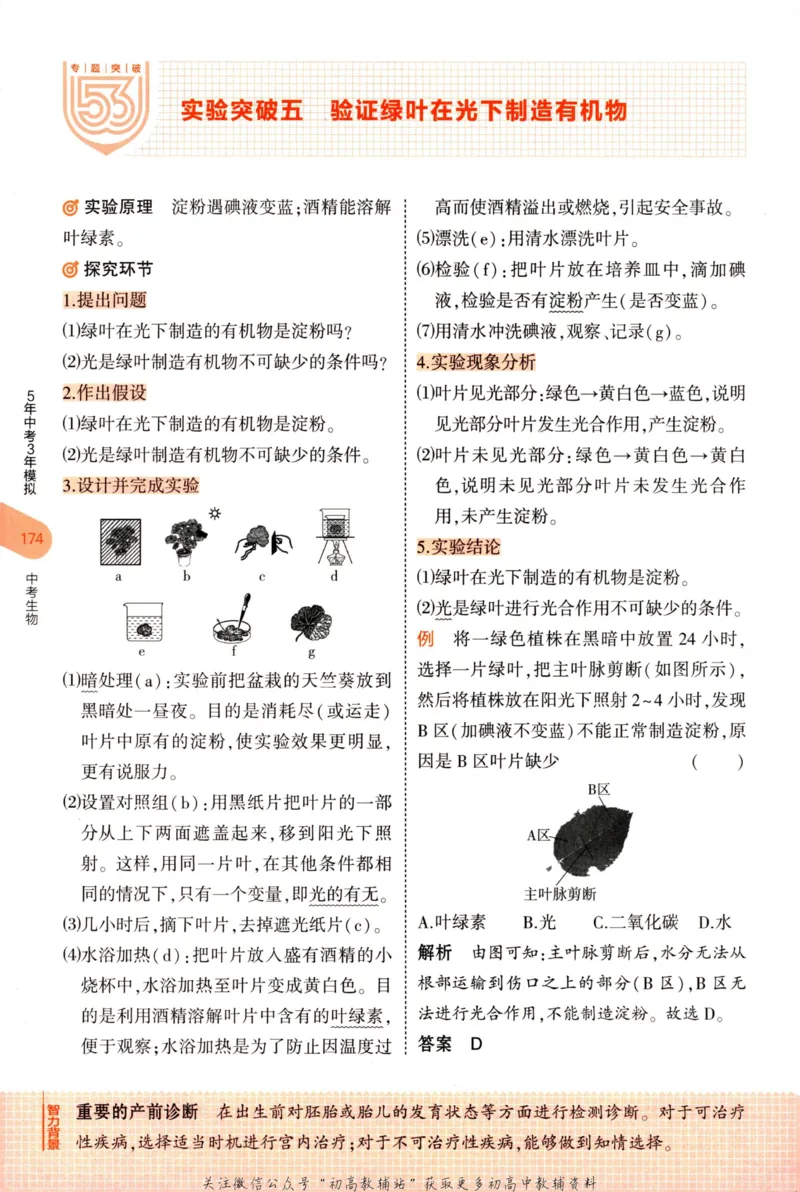 2023版《5年中考3年模拟》中考生物知识清单_53中考总复习_2023版