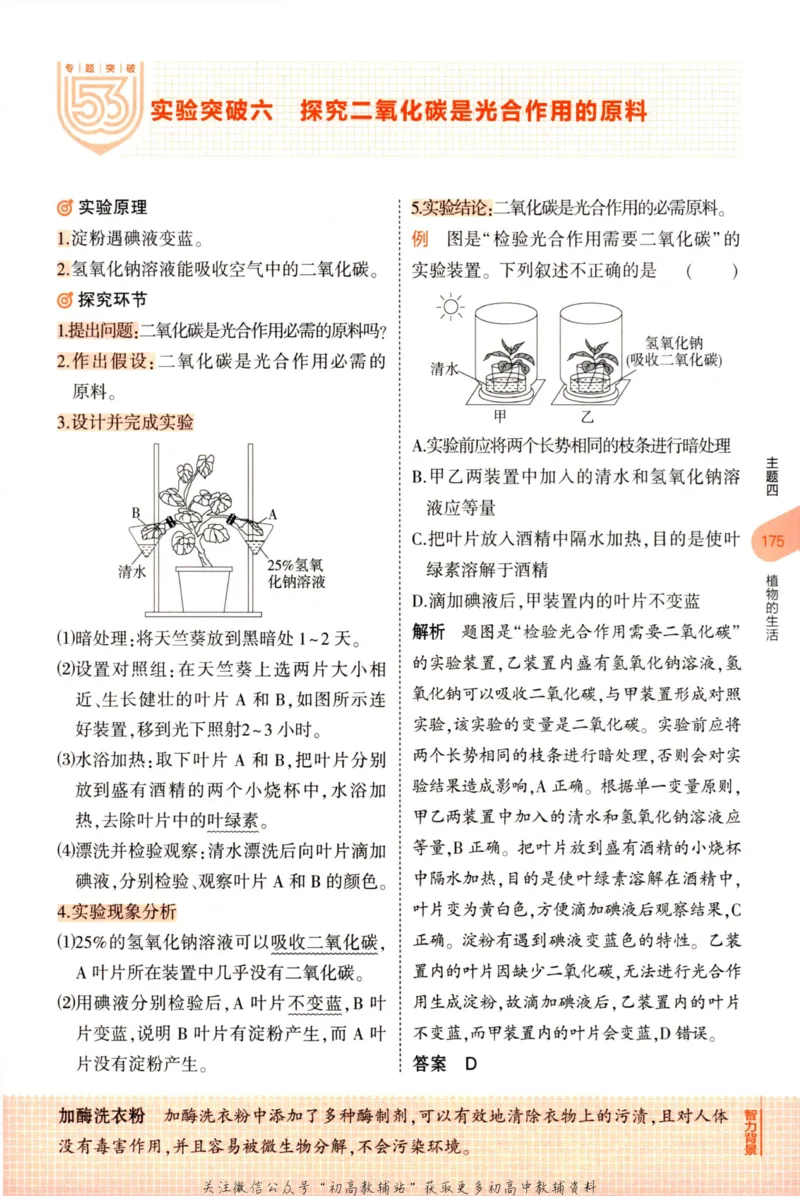 2023版《5年中考3年模拟》中考生物知识清单_53中考总复习_2023版