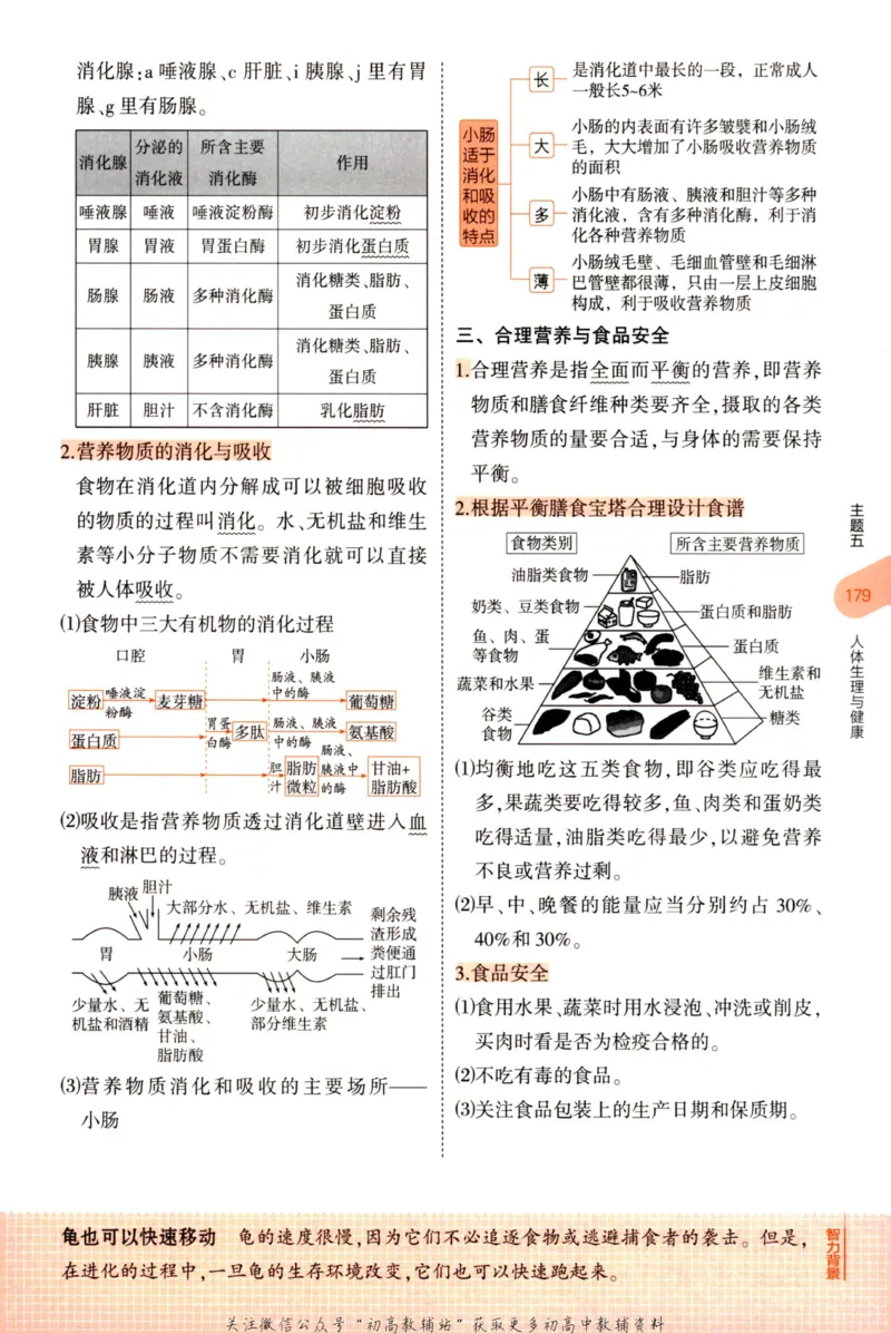 2023版《5年中考3年模拟》中考生物知识清单_53中考总复习_2023版