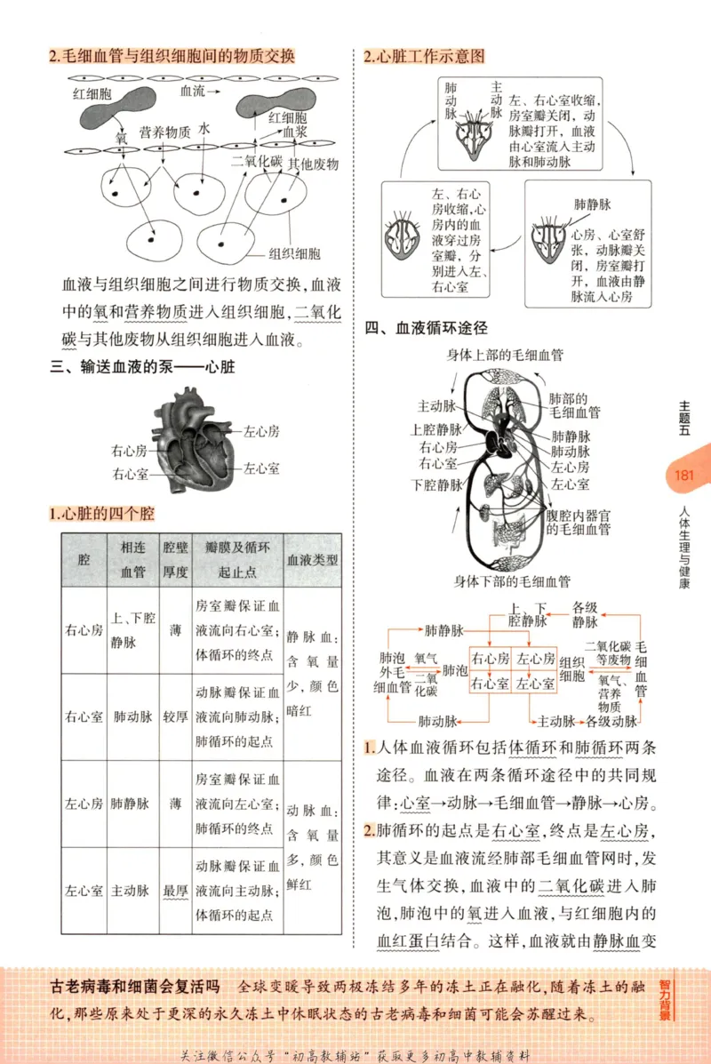 2023版《5年中考3年模拟》中考生物知识清单_53中考总复习_2023版