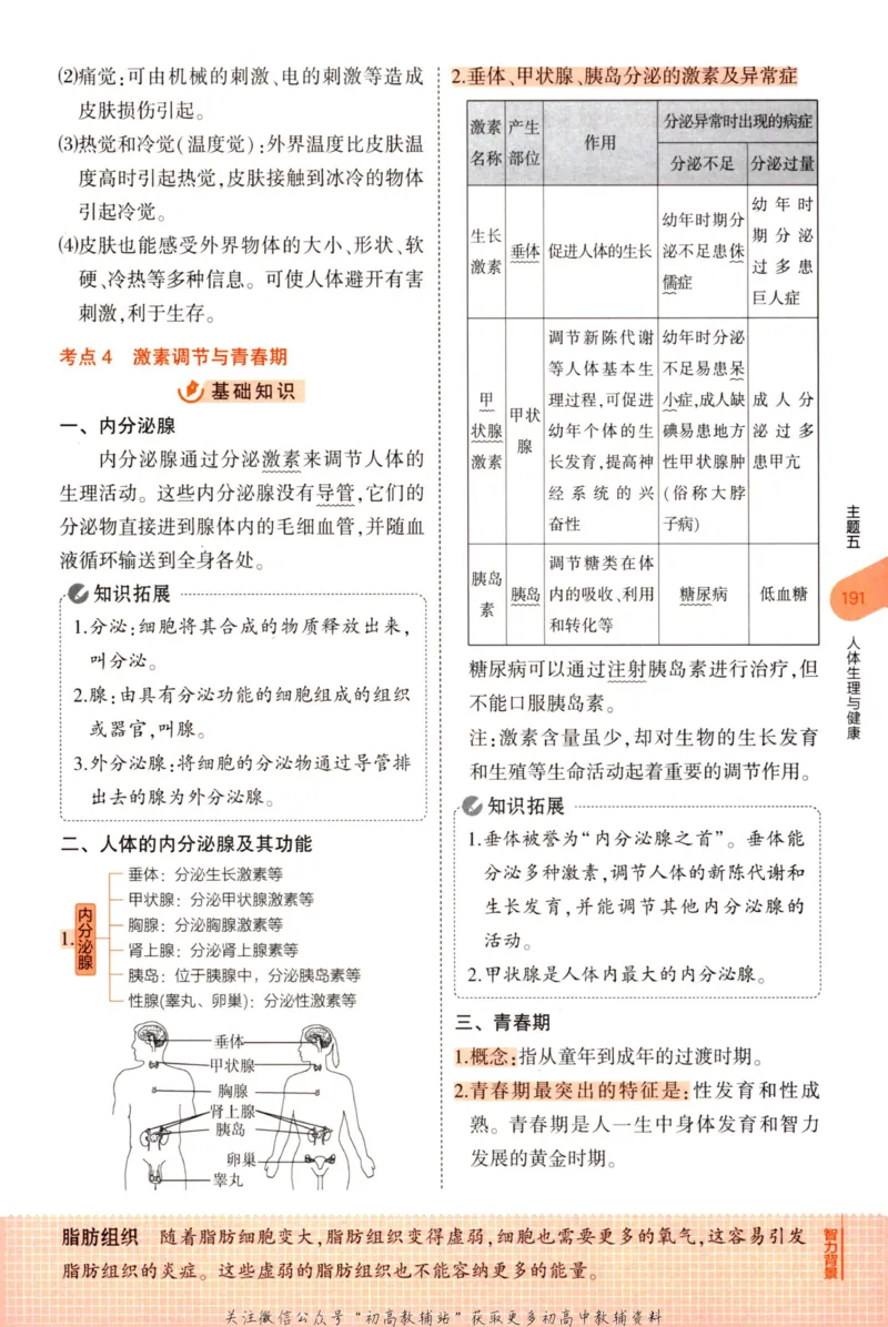 2023版《5年中考3年模拟》中考生物知识清单_53中考总复习_2023版