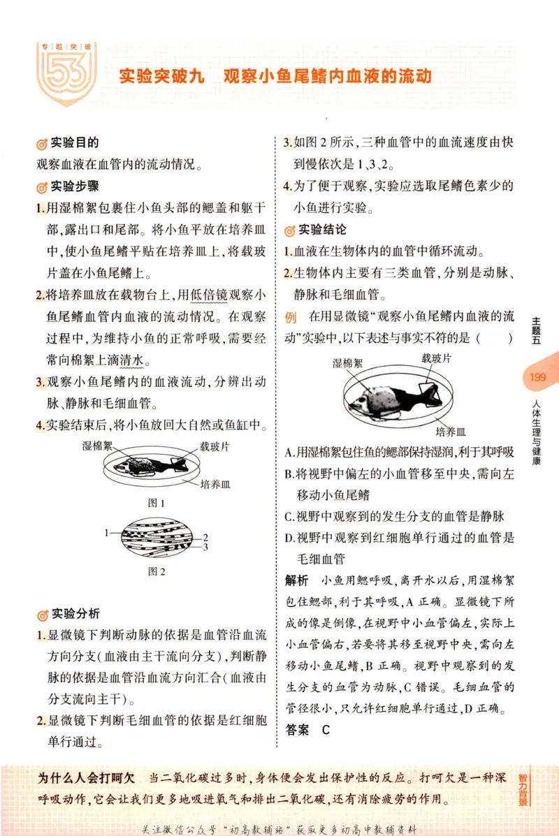 2023版《5年中考3年模拟》中考生物知识清单_53中考总复习_2023版